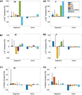 Frontiers Sex And Species Differences In Epithelial Transport In Rat